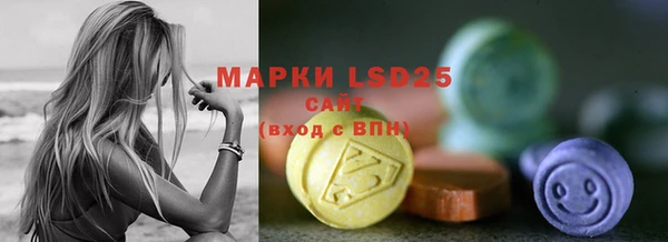 ПСИЛОЦИБИНОВЫЕ ГРИБЫ Медвежьегорск