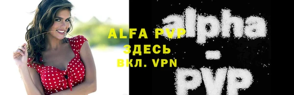 ПСИЛОЦИБИНОВЫЕ ГРИБЫ Медвежьегорск